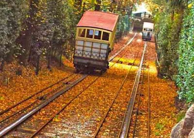 8 day tour of Portugal