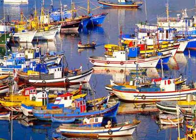 Day tour Azeitao Sesimbra Arrabida Palmela Setubal