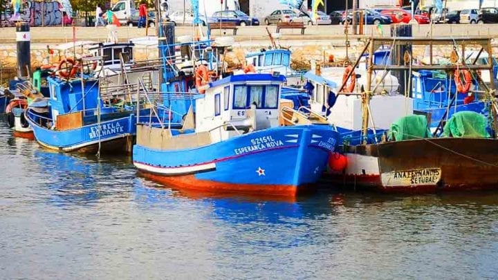 Azeitao Sesimbra Arrabida Palmela Setubal private tour