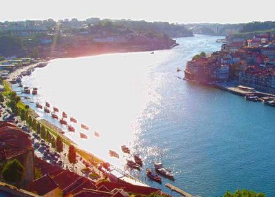Day tour of Porto
