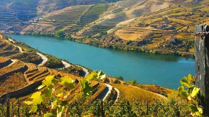 Douro Valley private tour