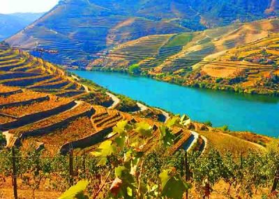 Day trip Douro Valley