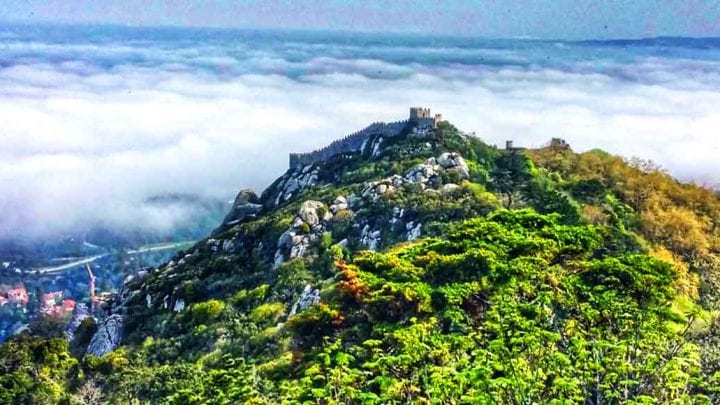Full day tour Sintra and Obidos